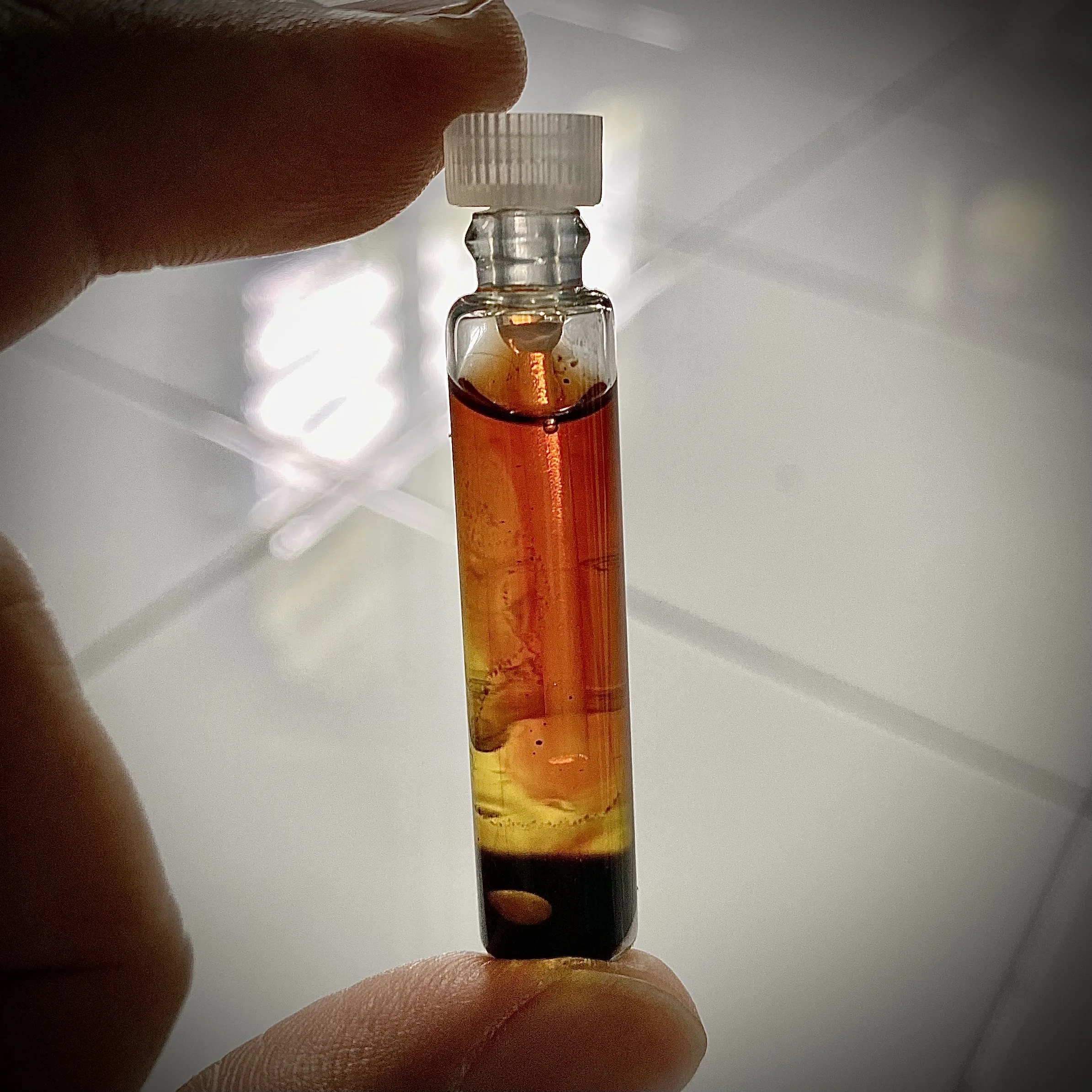 Minyak Pengasih Darah Bunian